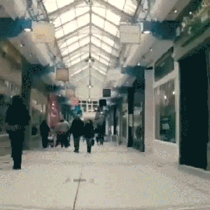 optic_flow_bothways_sm